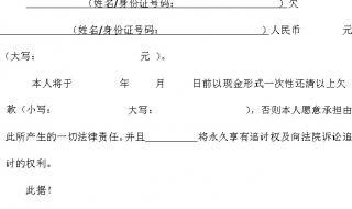 正规欠条怎么写图片 正规欠条怎么写图片