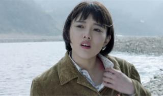 远方的山楂树结局