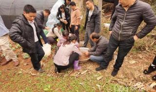 云南供销合作社 云南供销合作社