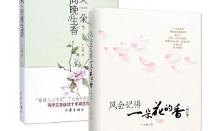 女主叫花向晚的小说