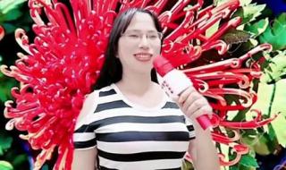 粤语流行曲 粤语流行曲