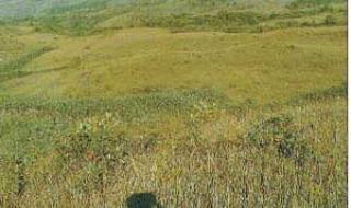 天体浴场好风流 天体浴场好风流