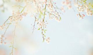 语默动静体自然 语默动静体自然