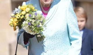 中国女王信息网 中国女王信息网