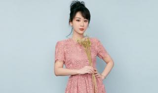 那英三巴掌拍飞杨紫