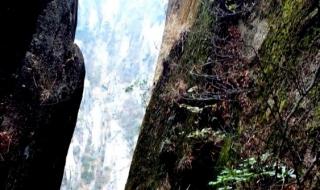 上海到黄山旅游价格