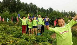 石家庄第二实验中学 石家庄第二实验中学