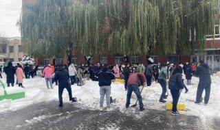 家长开铲车到校扫雪 家长开铲车到校扫雪