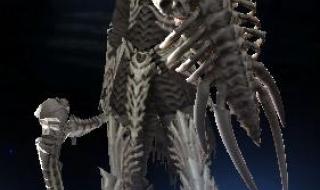 暗黑3死灵法师套装 暗黑3死灵法师套装