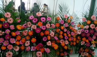 学习开花店 学习开花店