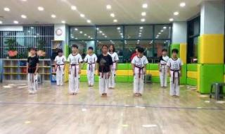 跆拳道虎队表演