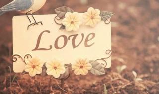 与君同舟渡 与君同舟渡