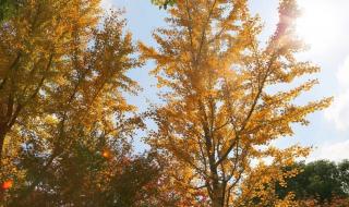 上海普陀区地图 上海普陀区地图