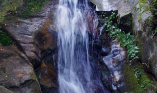 成都到九寨沟旅行团 成都到九寨沟旅行团