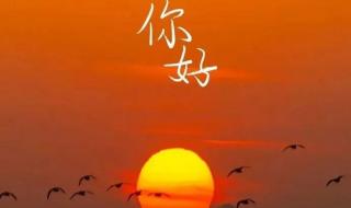 双十一光棍节幽默短句 双十一光棍节幽默短句