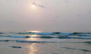 2023年第一批春花开了 2023年第一批春花开了