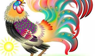 大公鸡喔喔叫广播体操 大公鸡喔喔叫广播体操