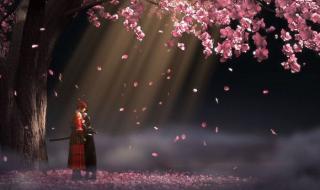 天生是优我马蜀君 天生是优我马蜀君