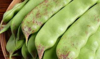 九月青豆角产自哪里 九月青豆角产自哪里