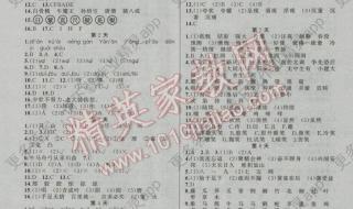 小考专家答案 小考专家答案