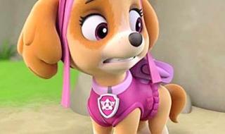 汪汪队立大功第1季