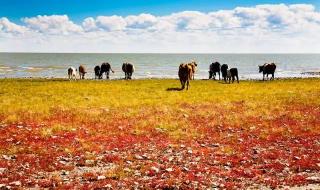 夏天与秋天的碰撞