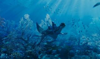 阿凡达2水之道4k资源