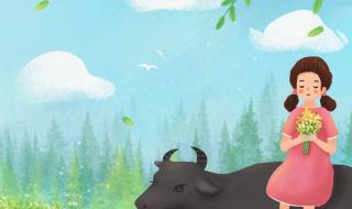 清明节的作文怎么写 清明节的作文怎么写