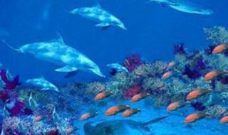 秦皇岛新奥海底世界 秦皇岛新奥海底世界